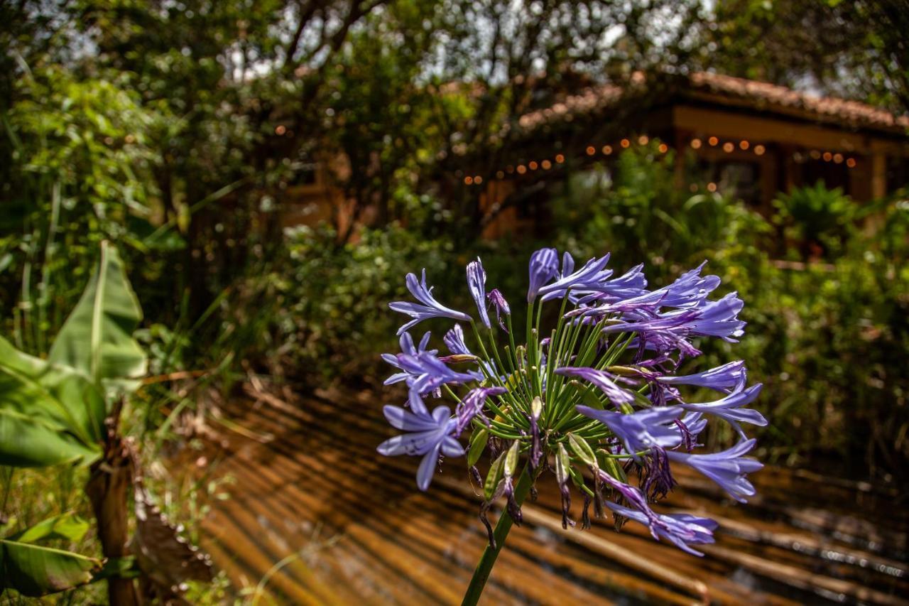 Clavellino House En Villa De Leyva - Tranquilidad Y Naturaleza En Reserva Natural Urbana! Exteriör bild