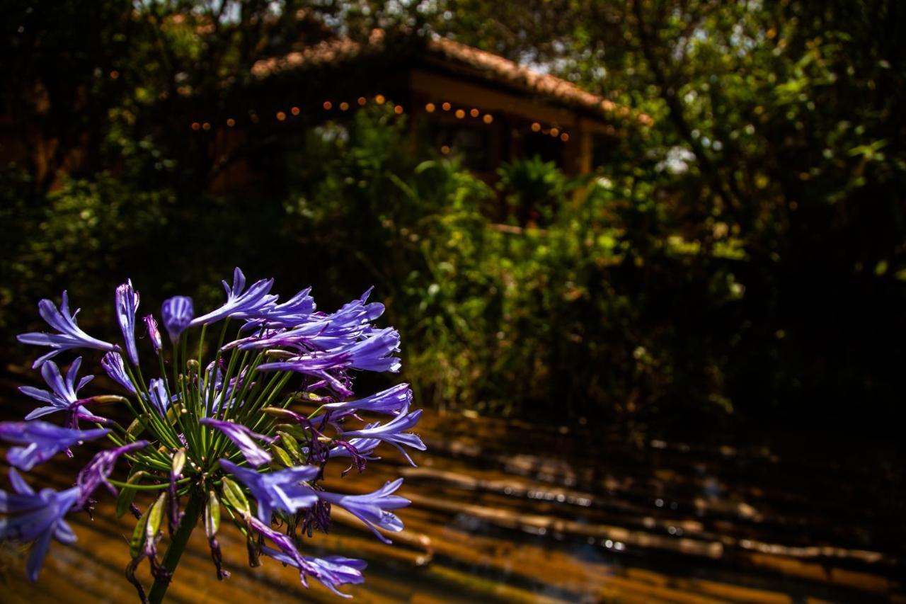 Clavellino House En Villa De Leyva - Tranquilidad Y Naturaleza En Reserva Natural Urbana! Exteriör bild