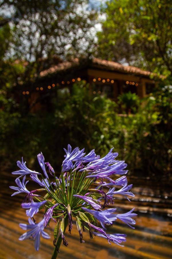 Clavellino House En Villa De Leyva - Tranquilidad Y Naturaleza En Reserva Natural Urbana! Exteriör bild